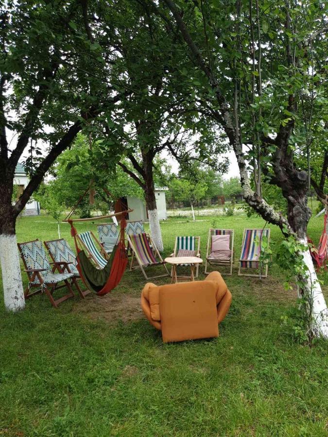 Villa Rokiti エクステリア 写真
