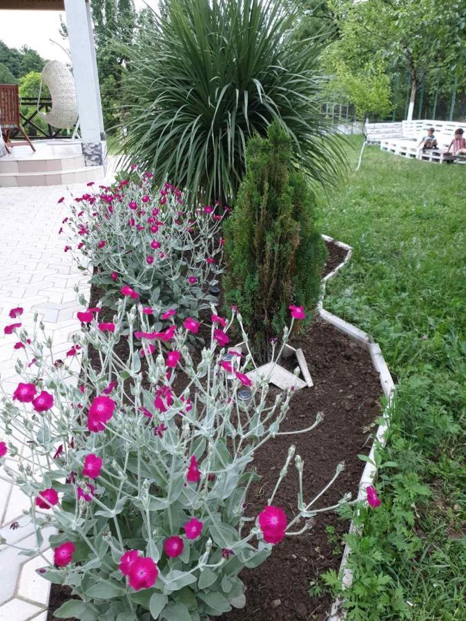 Villa Rokiti エクステリア 写真