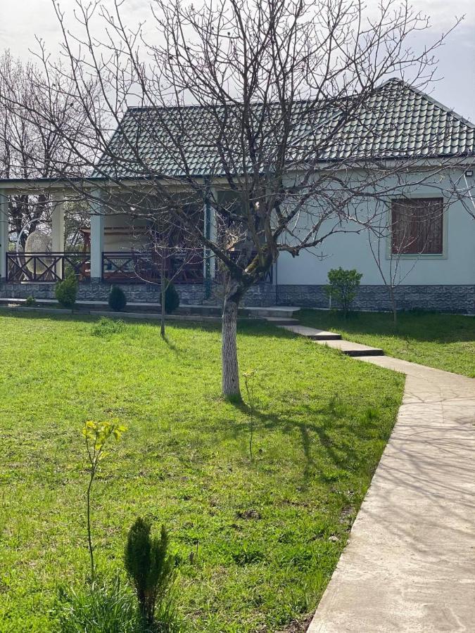 Villa Rokiti エクステリア 写真