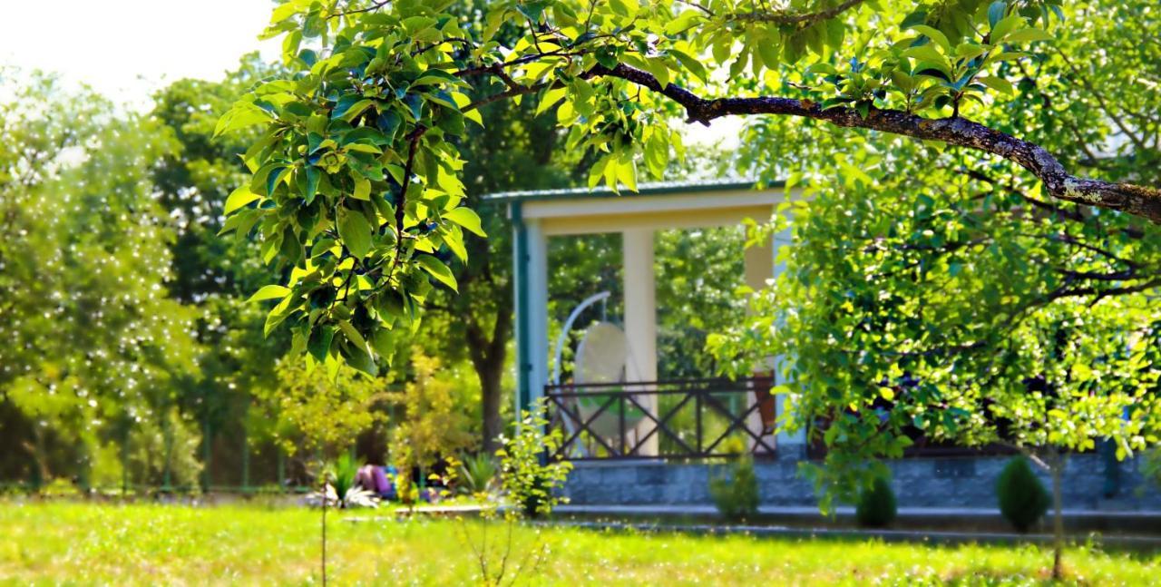 Villa Rokiti エクステリア 写真